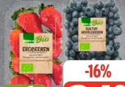 Edeka Frischemarkt Edeka Bio Erdbeeren Angebot