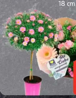 Edeka Edeka Herzstücke Floristenstrauß Angebot