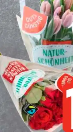 Edeka Frischemarkt Gut & Günstig Moosrosen Angebot