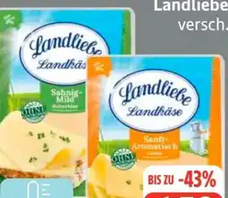 Edeka Frischemarkt Landliebe Käsescheiben Angebot