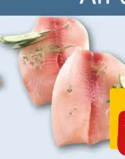 REWE Center Tilapiafilet Angebot