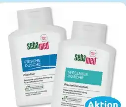 Budni Sebamed Duschgel Angebot