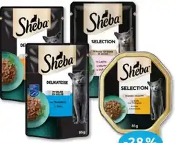 Budni Sheba Katzennahrung Angebot