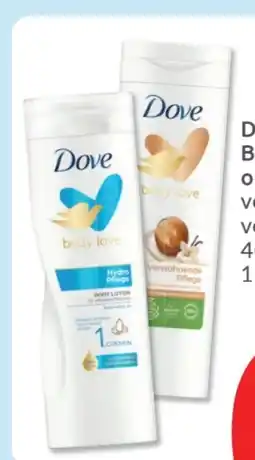 Budni Dove Bodylotion Angebot