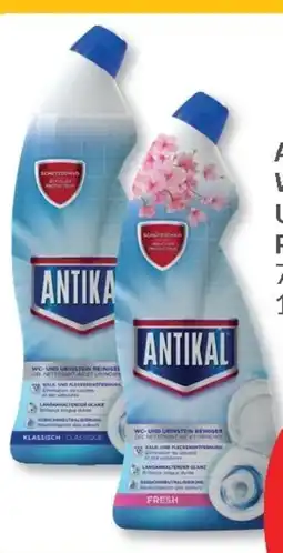 Budni Antikal WC- und Urinstein Reiniger Angebot