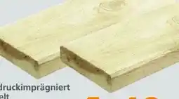 Globus Baumarkt Brett Kiefer Angebot