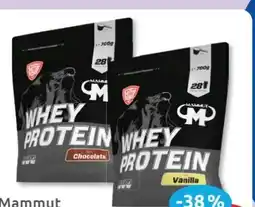 Budni Mammut Whey Protein Pulver Angebot