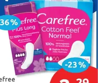 Budni Carefree Slipeinlagen Angebot