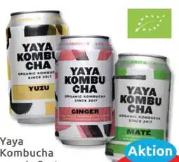 Budni Yaya Kombucha Angebot