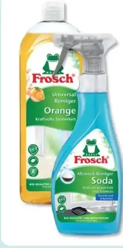 Budni Frosch Universalreiniger Angebot