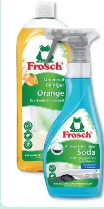 Budni Frosch Universalreiniger Angebot