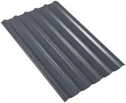 Globus Baumarkt Weckmann Trapez-Profilblech Mini Angebot