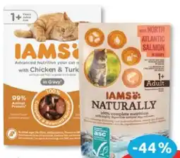 Budni Iams Katzennahrung Angebot