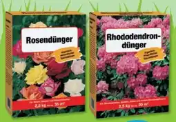 Budni Beckmann Rhododendrondünger Angebot