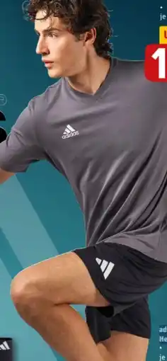 REWE Adidas Herren Shorts Angebot