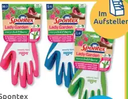 Budni Spontex Gartenhandschuh Lady Garden Angebot