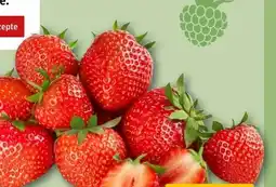 REWE Rewe Bio Bio-Erdbeeren Angebot
