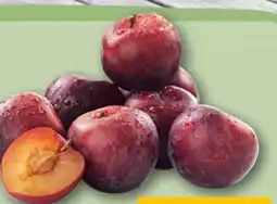 REWE Pflaumen Angebot