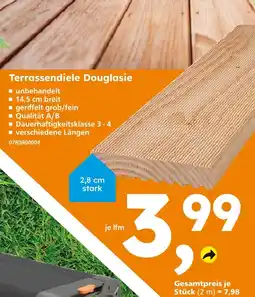 Globus Baumarkt Terrassendiele douglasie Angebot
