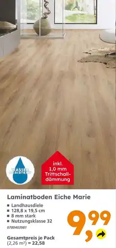 Globus Baumarkt Laminatboden eiche marie Angebot
