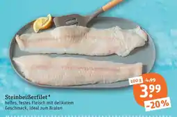 tegut Steinbeißerfilet Angebot