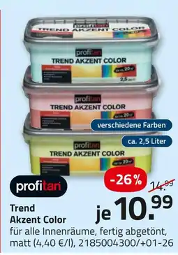 ROLLER Profitan trend akzent color Angebot