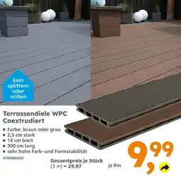 Globus Baumarkt Terrassendiele wpc coextrudiert Angebot