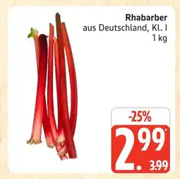 Marktkauf Rhabarber Angebot