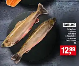 Handelshof SAIBLING Angebot