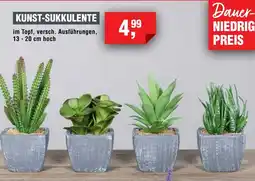 Handelshof KUNST-SUKKULENTE Angebot