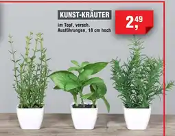 Handelshof KUNST-KRÄUTER Angebot