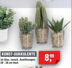 Handelshof KUNST-SUKKULENTE Angebot