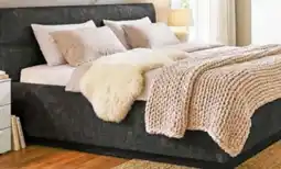 porta Ole Gunderson Polsterbett Angebot