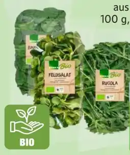 Edeka Edeka Bio Rucolasalat Angebot
