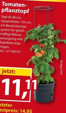Sonderpreis Baumarkt Tomaten- pflanztopf Angebot