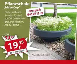 Sonderpreis Baumarkt Pflanzschale ,,Maze Cup" Angebot