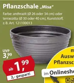 Sonderpreis Baumarkt Pflanzschale,,Misa" Angebot