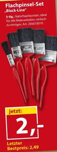 Sonderpreis Baumarkt Flachpinsel-Set ,,Black-Line" Angebot