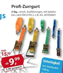 Sonderpreis Baumarkt Profi-Zurrgurt Angebot