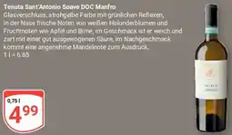 Globus Tenuta Sant'Antonio Soave DOC Manfro Angebot