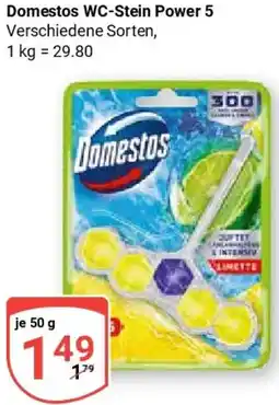 Globus Domestos WC-Stein Power 5 Angebot