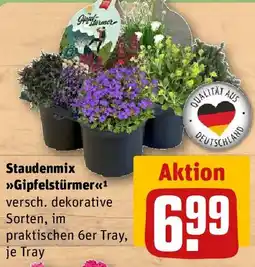 REWE Staudenmix Gipfelstürmer Angebot