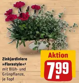 REWE Zinkjardiniere Florastyle Angebot