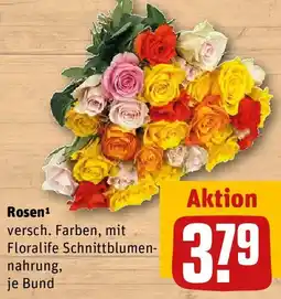REWE Rosen Angebot