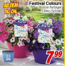 CENTERSHOP Festival Colours Angebot