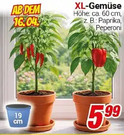 CENTERSHOP XL-Gemüse Angebot