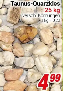 CENTERSHOP Taunus-Quarzkies Angebot