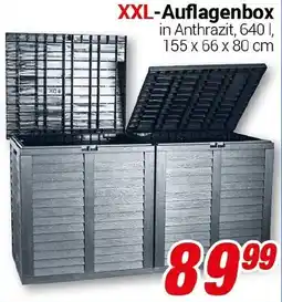 CENTERSHOP XXL-Auflagenbox Angebot