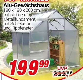 CENTERSHOP Alu-Gewächshaus Angebot