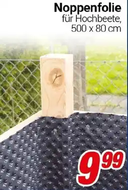 CENTERSHOP Noppenfolie Angebot